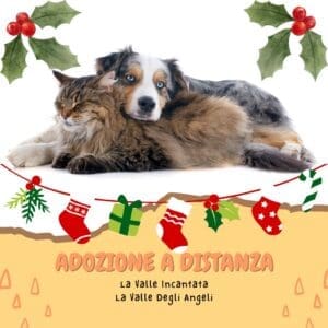 Adozioni responsabili per Natale