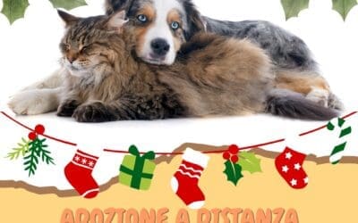 Natale – Fai un Regalo che Scalda il Cuore!