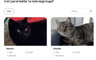 Scopri i Gatti Adottabili con EMPETHY 🐾