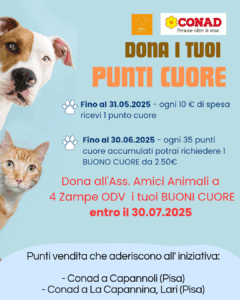 Punti del cuore Conad