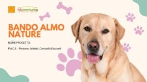 BANDO ALMO NATURE 2025